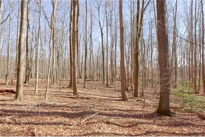 2482 Sisk Road, Lawsonville, NC 27022 - Photo 22