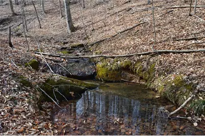 1284-1516 Tom Mix Road #95.93 +/- Ac Tract, Westfield, NC 27053 - Photo 28