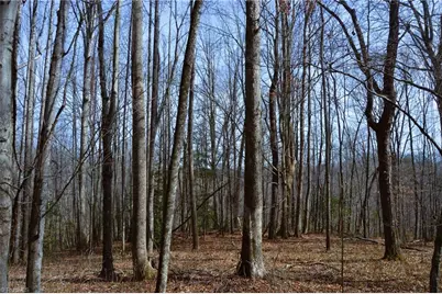 1284-1516 Tom Mix Road #95.93 +/- Ac Tract, Westfield, NC 27053 - Photo 18