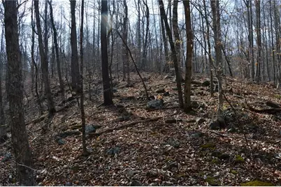 1284-1516 Tom Mix Road #95.93 +/- Ac Tract, Westfield, NC 27053 - Photo 30