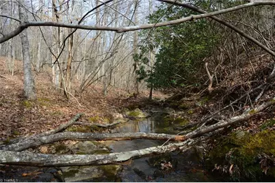 1284-1516 Tom Mix Road #95.93 +/- Ac Tract, Westfield, NC 27053 - Photo 38