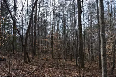 1284-1516 Tom Mix Road #95.93 +/- Ac Tract, Westfield, NC 27053 - Photo 32