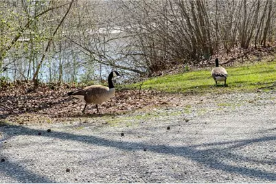 3515 Fiesta Drive, Greensboro, NC 27406 - Photo 6