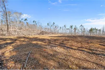 000 Eagles Field Road, Asheboro, NC 27205 - Photo 6