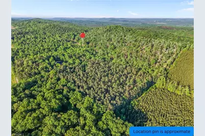 000 Eagles Field Road, Asheboro, NC 27205 - Photo 4