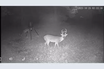 6573 Monnett Road, Climax, NC 27233 - Photo 34