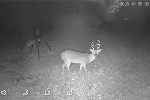 6573 Monnett Rd, Climax, NC 27233 - Photo 34