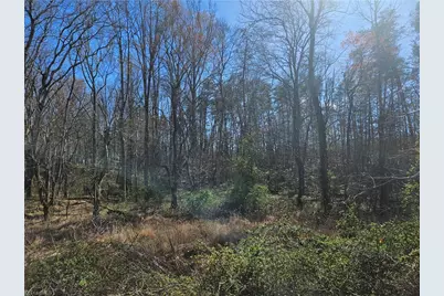 00 Locust Grove Road #3, Westfield, NC 27030 - Photo 8