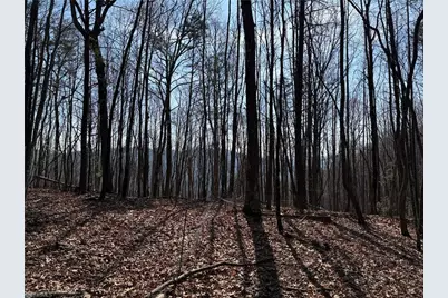 Lot 227 Deer Run, Purlear, NC 28665 - Photo 2