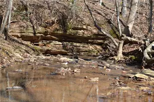 599 Nc Hwy 770, Mayodan, NC 27027 - Photo 30
