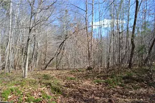 599 Nc Hwy 770, Mayodan, NC 27027 - Photo 32