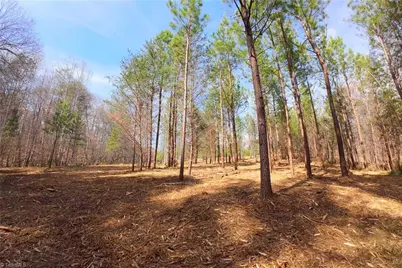 3341 Nc Highway 66 S, Westfield, NC 27053 - Photo 16