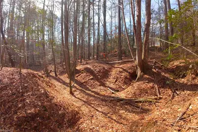 3341 Nc Highway 66 S, Westfield, NC 27053 - Photo 12