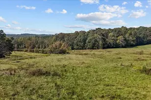 2385 Clacie Ln, Liberty, NC 27298 - Photo 8