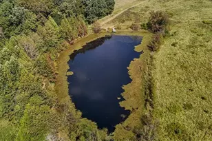 2385 Clacie Ln, Liberty, NC 27298 - Photo 10