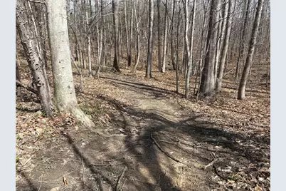 0 Doll Branch Road, Milton, NC 27305 - Photo 14