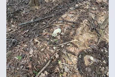 0 Doll Branch Road, Milton, NC 27305 - Photo 20