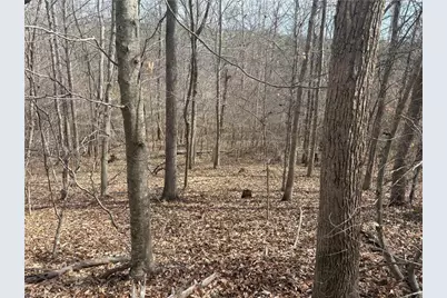 0 Doll Branch Road, Milton, NC 27305 - Photo 34