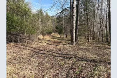 0 Doll Branch Road, Milton, NC 27305 - Photo 24