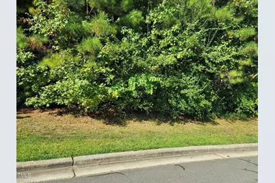 36 Bur Oak Court, Pittsboro, NC 27312 - Photo 1