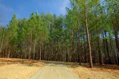 1089 Smith Road S, Westfield, NC 27053 - Photo 10