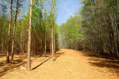 1089 Smith Road S, Westfield, NC 27053 - Photo 12