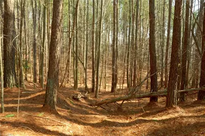 1089 Smith Road S, Westfield, NC 27053 - Photo 14