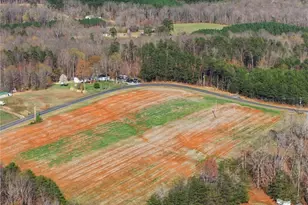 0 Rail Fence Rd, Belews Creek, NC 27009 - Photo 4