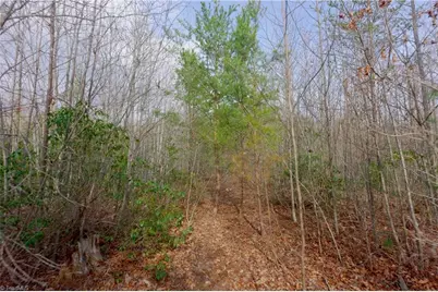 0 Lisa Lane, Mount Airy, NC 27030 - Photo 28