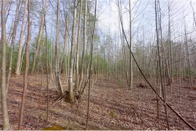 0 Lisa Lane, Mount Airy, NC 27030 - Photo 30