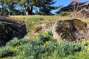 549 E Pine St, Mount Airy, NC 27030 - Photo 8