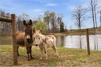 6777 Hockett Trail, Randleman, NC 27317 - Photo 36
