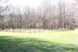 1065 Dallas King Rd, Westfield, NC 27053 - Photo 44