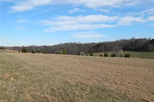 1065 Dallas King Rd, Westfield, NC 27053 - Photo 32