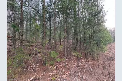 Tbd Sutters Ridge Road, McGrady, NC 28649 - Photo 12