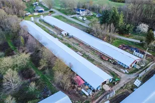 000 Arbor Grove Baptist Church Rd, Roaring River, NC 28669 - Photo 2