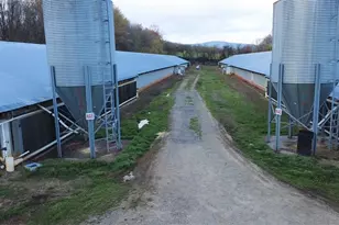 000 N Lomax Rd, Traphill, NC 28685 - Photo 4