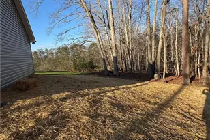 586 Culler Rd, Pinnacle, NC 27043 - Photo 10