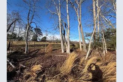 00 Billings Hill Church Road, Traphill, NC 28685 - Photo 12