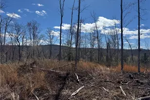 00 Billings Hill Church Rd, Traphill, NC 28685 - Photo 1