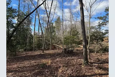 00 Billings Hill Church Road, Traphill, NC 28685 - Photo 18