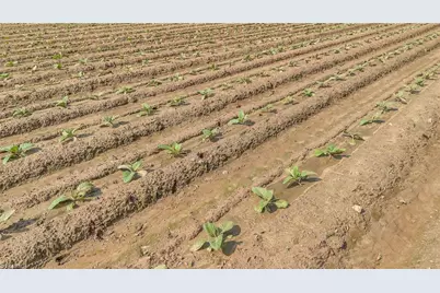 0 Nc 268, Elkin, NC 28621 - Photo 14