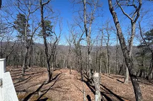 438 Dogwood Cir, Traphill, NC 28685 - Photo 8