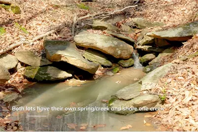 1583 Seven Island Road, Danbury, NC 27016 - Photo 18