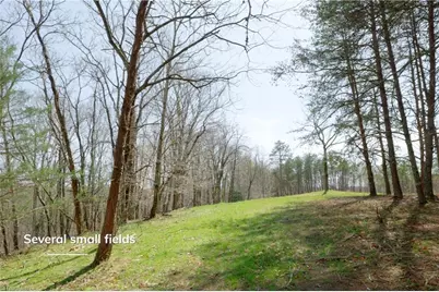 1583 Seven Island Road, Danbury, NC 27016 - Photo 14