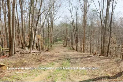 1583 Seven Island Road, Danbury, NC 27016 - Photo 10