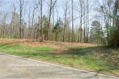 1583 Seven Island Road, Danbury, NC 27016 - Photo 4