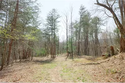 1583 Seven Island Road, Danbury, NC 27016 - Photo 8