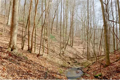 1583 Seven Island Road, Danbury, NC 27016 - Photo 22