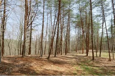 1583 Seven Island Road, Danbury, NC 27016 - Photo 16